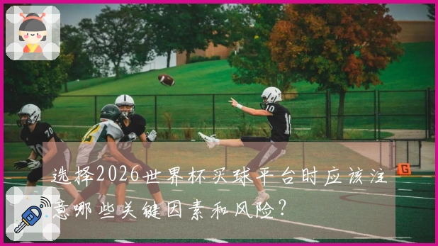 选择2026世界杯买球平台时应该注意哪些关键因素和风险？